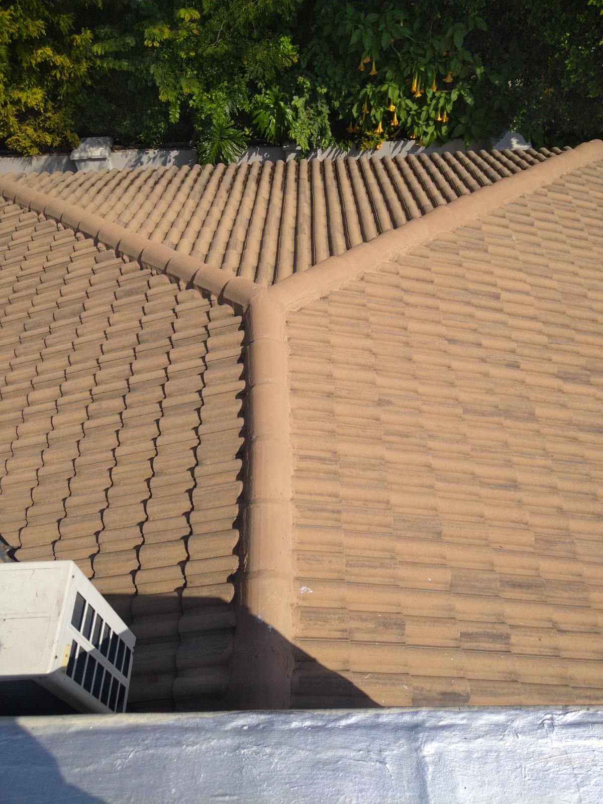 Residential Roof Restoration Before Project