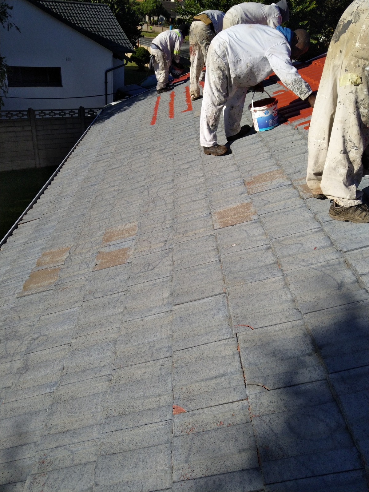 Residential Roof Coating Before Project